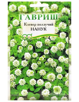 Семена газонных трав и сидератов Гавриш Клевер ползучий белый Нанук 0,1 кг  - купить в Москве, цены на СберМегаМаркет