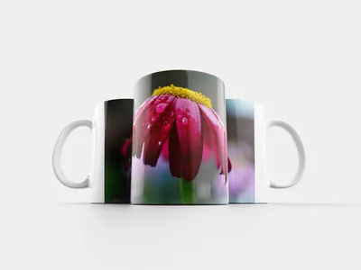 Mug \"Clematis виноградолистный, pods, soft\" 320 ml mug clematis  виноградолистный pods soft|Mugs| - AliExpress