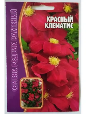 Клематис 'Ханя'. (Clematis 'Hania') С1,5 купить в интернет-магазине ЦВІТСАД  с доставкой по Украине