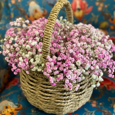 Корзина с гипсофилой, Цветы и подарки в Рязани, купить по цене 3300 руб,  Цветы в корзине в Клумба с доставкой | Flowwow