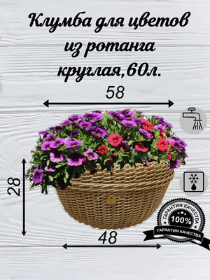 Корзина для цветов, бамбук, 28 см х 58 см х 58 см, 60 л — купить в  интернет-магазине OZON с быстрой доставкой