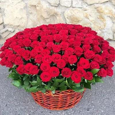201 роза в корзине - купить цветы в Самаре с доставкой — Клумба- купить  цветы в Самаре с доставкой — Клумба