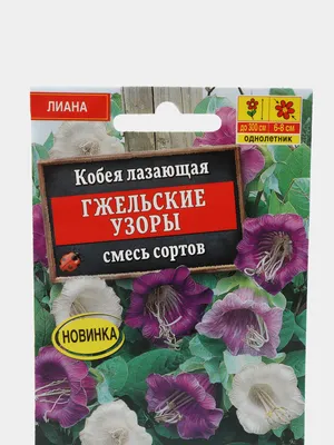 Кобея лазающая Гжельские узоры, смесь сортов, семена цветы, Аэлита за 85 ₽  купить в интернет-магазине KazanExpress