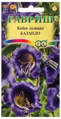 Семена Гавриш Кобея лазающая Каландо 5 шт. — купить в интернет-магазине по  низкой цене на Яндекс Маркете