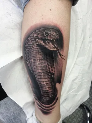 Snake #tattoo | Schlange tattoo, Tattoo ideen, Tattoos männer