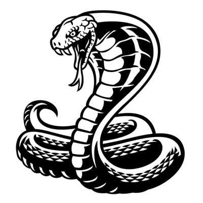 Тату змея кобра в черно-белом стиле | Премиум векторы