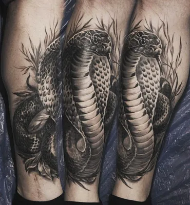 Cobra tattoo Тату кобра | Cobra tattoo, Jungle tattoo, Rattlesnake tattoo