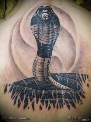 Территория Тату on Twitter: \"Тату кобра - значение татуировки кобра, фото и  эскизы в салоне Территория https://t.co/YVlRRCfeG6 https://t.co/Z7kvckAsST\"  / Twitter