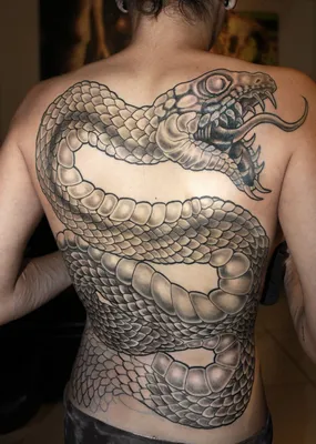 Кобра змеи Viper в короне, дизайн искусства татуировки Иллюстрация вектора  - иллюстрации насчитывающей шарж, изолировано: 169265964
