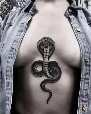Значение тату кобра - смысл, факты, куда наносить, идеи, история