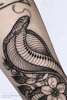Тату змея и цветы | Блог про татуировки pavuk.ink | Tatuaje de cobra,  Tatuajes interesantes, Tatuajes raros