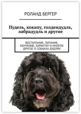 Кокапу Labradoodle Doodle Cavoodle пуделя щенок собака коврик ковер  анти-скольжение Спальня входная дверь коврик кокапу Labradoodle - купить по  выгодной цене | AliExpress