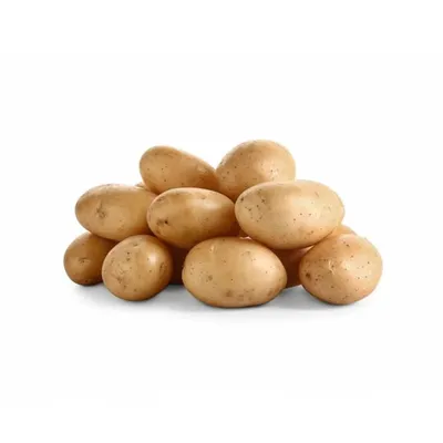 Купить картофель семенной, сорт Коломба - ОАО \"Агро-Мотоль\"