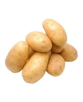 Семенной ультро-ранний картофель \"Коломбо\"