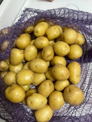 Коломбо картофель фото