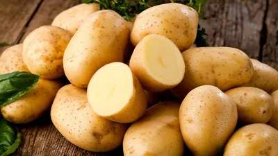 Клубни Картофель Калатея купить по выгодной цене в интернет-магазине OZON