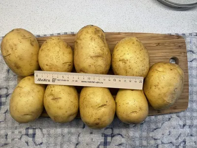 Картофель, цена 14 ₽ купить в Новоомском
