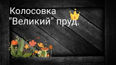 Заявление Литвы о России: почему Калининград не отдали Литве, Западный  военный округ России на карте, силы НАТО в Прибалтике, третья мировая война  – 2022