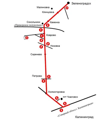 Природа Калининграда и области | Инфоцентр туризма