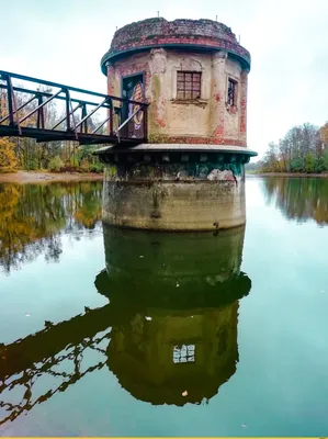 Беседка для кормления лебедей. Колосовка. / сфотографировала сама ::  фотоклуб :: эстетика ебеней / смешные картинки и другие приколы: комиксы,  гиф анимация, видео, лучший интеллектуальный юмор.