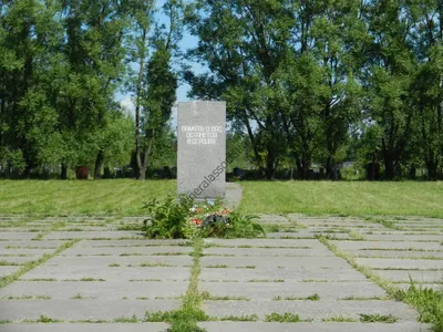 Ново-Волковское кладбище в Санкт-Петербурге