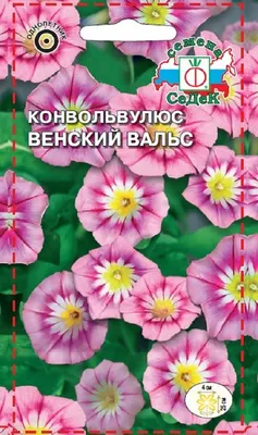 Конвольвулюс Агрофирма СеДеК | \"СЕМЕНА-БАЗА.РФ\" интернет-магазин в  Волгограде