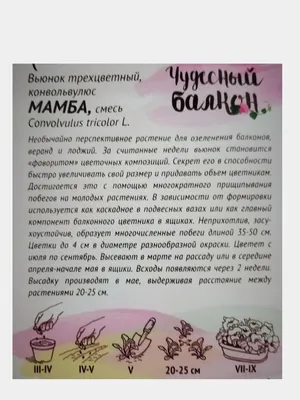 Вьюнок трехцветный МАМБА семена за 44 ₽ купить в интернет-магазине  KazanExpress