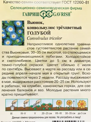 Семена цветы \"Вьюнок Голубой\" за 59 ₽ купить в интернет-магазине  KazanExpress