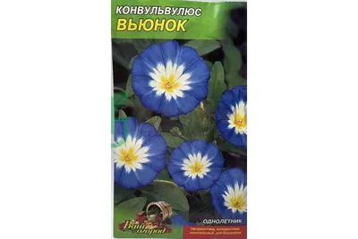 Цветы Конвольвулюс Вьюнок 0,5 г : Полтавское - семена купить в Киеве,  Украине фото, отзывы, описание - Дачник