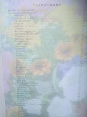 Однолетние цветы в саду: 50 грн. - Книги / журналы Запорожье на Olx