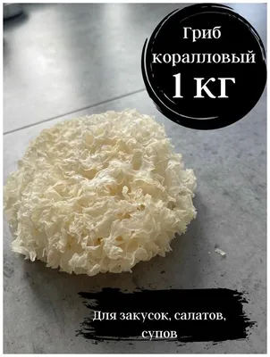 Грибы Коралловые белые, сушеные, Ледяной гриб (гребешки) 1 кг — купить в  интернет-магазине по низкой цене на Яндекс Маркете