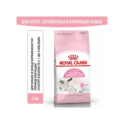 Корм сухой для котят ROYAL CANIN Mother and Babycat 2кг купить по цене 1479  ₽ с доставкой в Москве и России, отзывы, фото