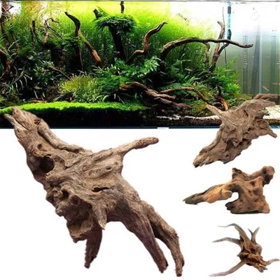 Деревянная коряга украшение в аквариум купить недорого — выгодные цены,  бесплатная доставка, реальные отзывы с фото — Joom