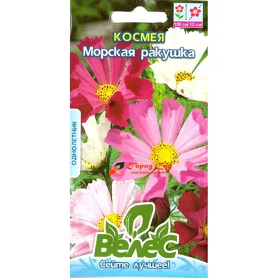 Космея \"Морська ракушка\" 0,5г купити насіння поштою по Україні | Насінинка