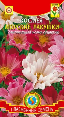 Семена Космея Морские ракушки смесь Плазменные семена (0.3г) за 30 ₽ купить  в интернет-магазине KazanExpress