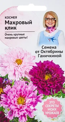 Космея «Махровый клик» 0.1 г в Москве – купить по низкой цене в  интернет-магазине Леруа Мерлен