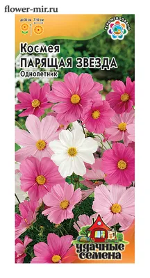 Космея Парящая Звезда смесь 0,5 гр. серия Удачные Семена купить оптом в  Томске по цене 10,48 руб.