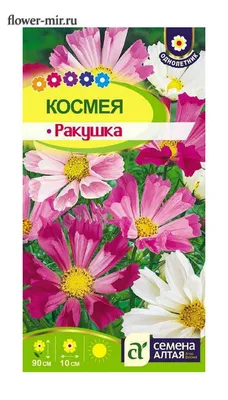 Космея Ракушка 0,5 гр. купить оптом в Томске по цене 11,26 руб.