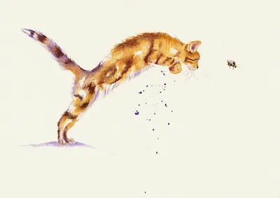 Фото Кот в прыжке на фоне размытой растительности