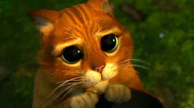 Битва милоты в первом трейлере мультфильма «Кот в сапогах 2: Последнее  желание» - Рамблер/кино