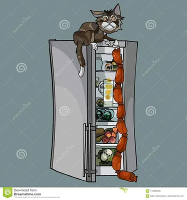 смешной бенгальский кот в холодильнике смотрит на тарелку сосисок Стоковое  Изображение - изображение насчитывающей сосиска, мясо: 220477603