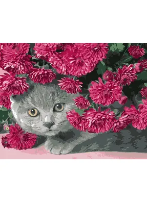 Персидский кот в цветах, обои с кошками, картинки, фото 1600x1200