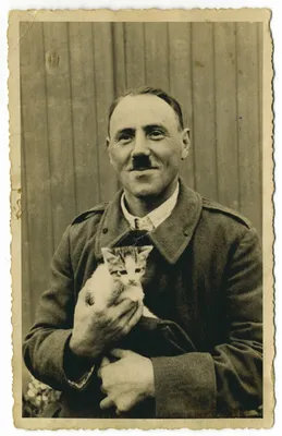 Котики Гитлера. | Канал Vell. С миру по нитке. | Дзен