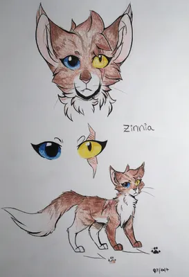 Идеи рисунков коты воители - 68 фото