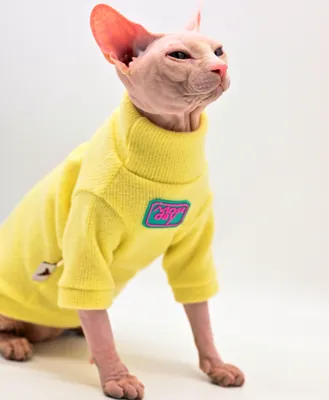 DUOMASUMI Devon свитер Сфинкс Кот одежда модная котенок мягкая и удобная  зимняя одежда для кошек без волос - купить по выгодной цене | AliExpress