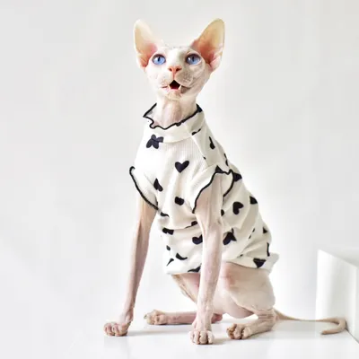 Летняя одежда для домашних животных со сфинксом, Симпатичные хлопковые  котята, жилет, рубашка для сфинкса, дышащая кофта, мягкая одежда Devon Rex  - купить по выгодной цене | AliExpress