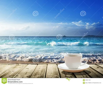 Море и чашка кофе стоковое фото. изображение насчитывающей естественно -  58991758