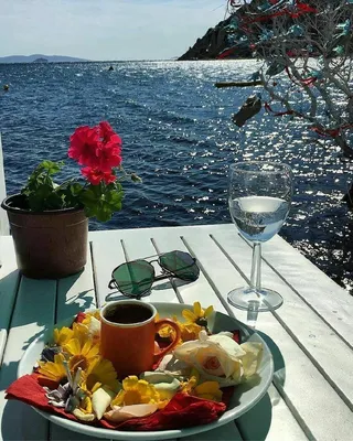 Доброе утро красивые картинки кофе море и цветы юмор любимая любимый  эстетика инстаграм сторис | Мем кофе, Кофе, Картинки