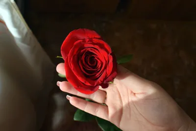 101 красная роза по цене 27060 ₽ - купить в RoseMarkt с доставкой по  Санкт-Петербургу