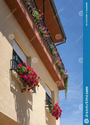 Красивые цветы на балконы стоковое изображение. изображение насчитывающей  довольно - 212410481